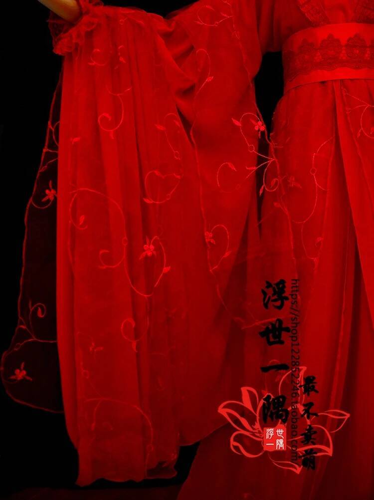Jiang Zu Shi Mo Dao YanLi Cosp - Anime Cosplay In Chinese avis et prix